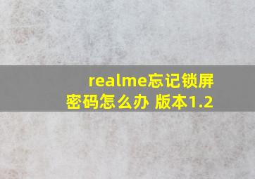 realme忘记锁屏密码怎么办 版本1.2